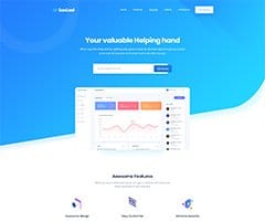 <br /> Classic Saas<br /> 